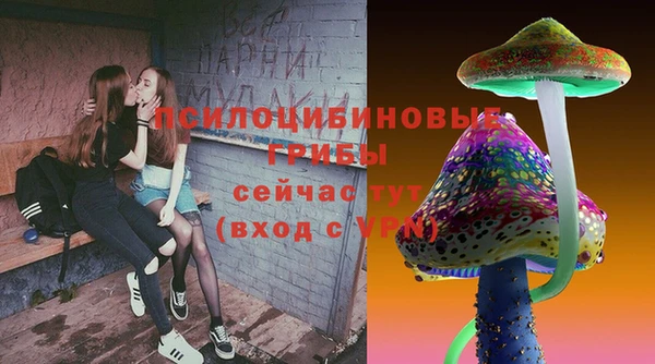 мдпв Арсеньев