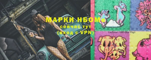 стаф Новозыбков