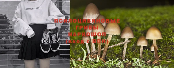 мдпв Арсеньев