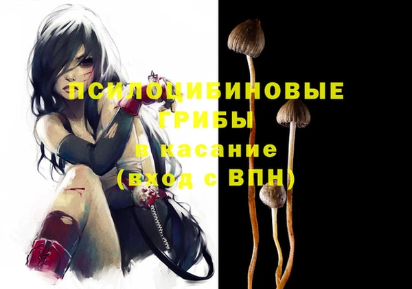 мдпв Арсеньев