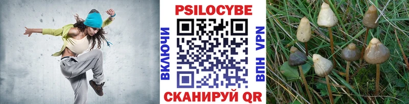 Галлюциногенные грибы прущие грибы  Рыбное 